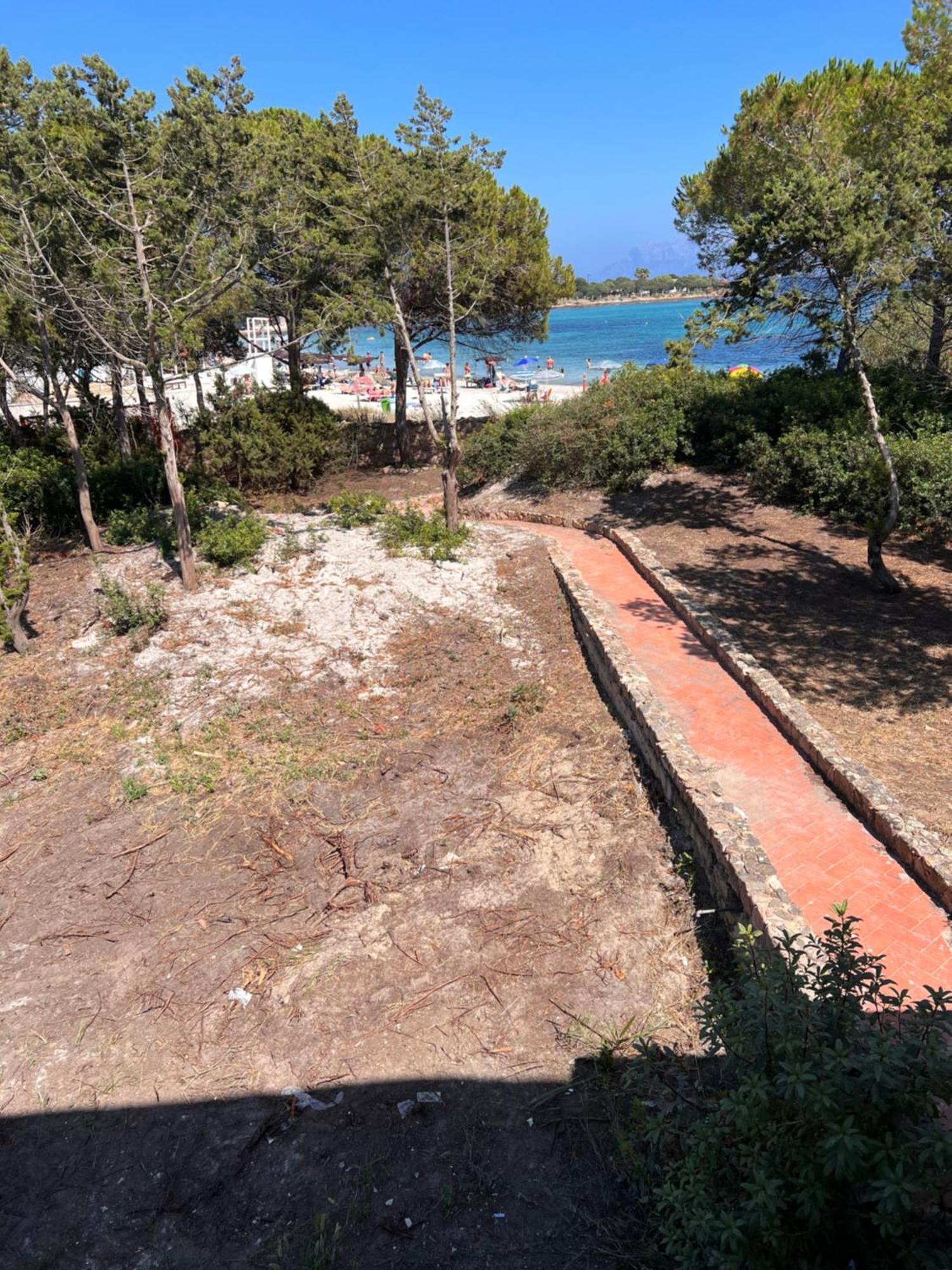 Guest house The Olbia