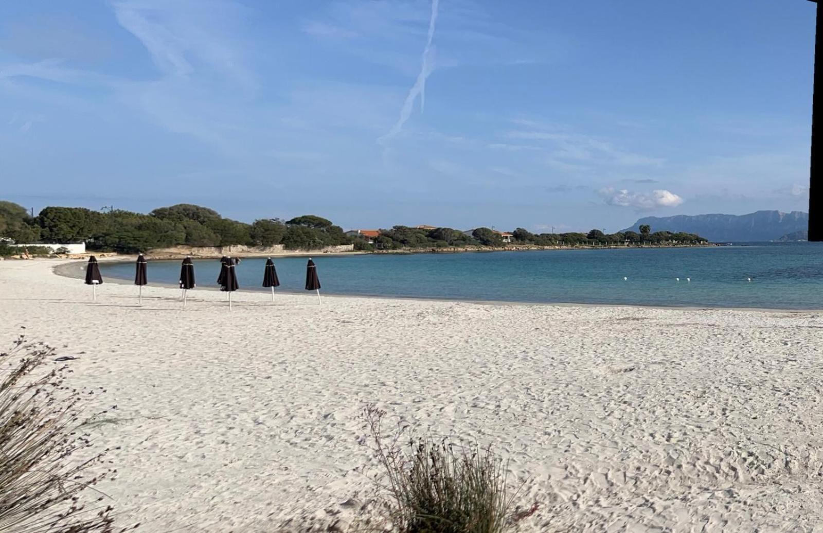 The Olbia